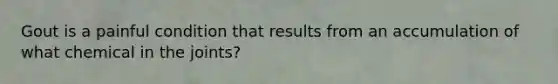 Gout is a painful condition that results from an accumulation of what chemical in the joints?