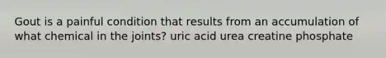 Gout is a painful condition that results from an accumulation of what chemical in the joints? uric acid urea creatine phosphate