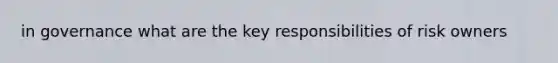 in governance what are the key responsibilities of risk owners