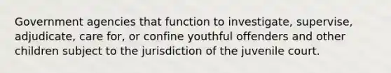 Government agencies that function to investigate, supervise, adjudicate, care for, or confine youthful offenders and other children subject to the jurisdiction of the juvenile court.