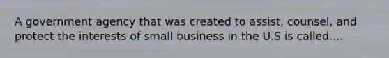 A government agency that was created to assist, counsel, and protect the interests of small business in the U.S is called....