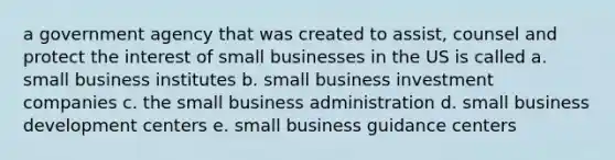 a government agency that was created to assist, counsel and protect the interest of small businesses in the US is called a. small business institutes b. small business investment companies c. the small business administration d. small business development centers e. small business guidance centers