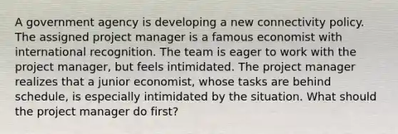 A government agency is developing a new connectivity policy. The assigned project manager is a famous economist with international recognition. The team is eager to work with the project manager, but feels intimidated. The project manager realizes that a junior economist, whose tasks are behind schedule, is especially intimidated by the situation. What should the project manager do first?