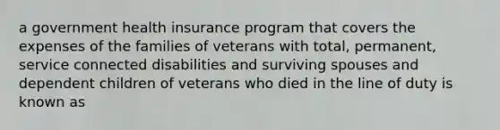 a government health insurance program that covers the expenses of the families of veterans with total, permanent, service connected disabilities and surviving spouses and dependent children of veterans who died in the line of duty is known as