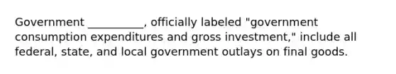 Government __________, officially labeled "government consumption expenditures and gross investment," include all federal, state, and local government outlays on final goods.