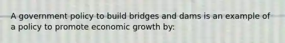 A government policy to build bridges and dams is an example of a policy to promote economic growth by: