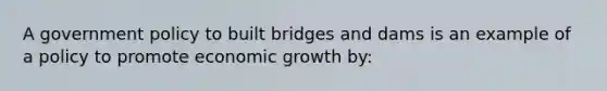 A government policy to built bridges and dams is an example of a policy to promote economic growth by: