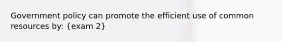 Government policy can promote the efficient use of common resources by: (exam 2)