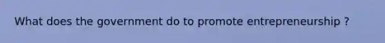 What does the government do to promote entrepreneurship ?