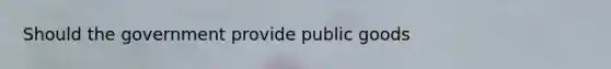 Should the government provide public goods