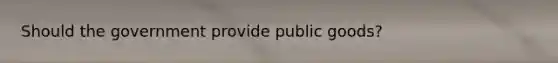 Should the government provide public goods?