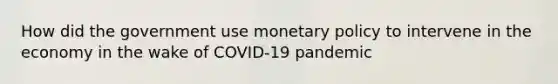 How did the government use monetary policy to intervene in the economy in the wake of COVID-19 pandemic