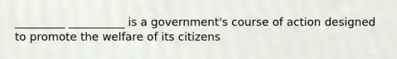 _________ __________ is a government's course of action designed to promote the welfare of its citizens