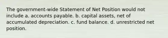 The government-wide Statement of Net Position would not include a. accounts payable. b. capital assets, net of accumulated depreciation. c. fund balance. d. unrestricted net position.