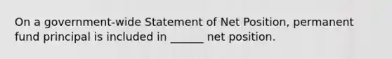 On a government-wide Statement of Net Position, permanent fund principal is included in ______ net position.