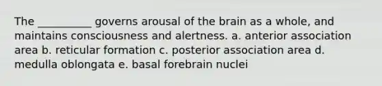 The __________ governs arousal of the brain as a whole, and maintains consciousness and alertness. a. anterior association area b. reticular formation c. posterior association area d. medulla oblongata e. basal forebrain nuclei