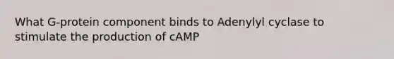 What G-protein component binds to Adenylyl cyclase to stimulate the production of cAMP