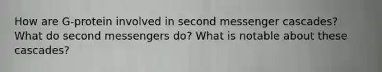 How are G-protein involved in second messenger cascades? What do second messengers do? What is notable about these cascades?