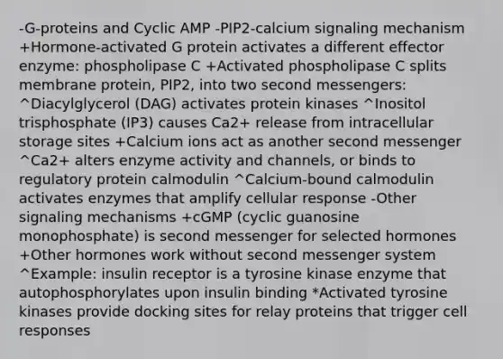 -G-proteins and Cyclic AMP -PIP2-calcium signaling mechanism +Hormone-activated G protein activates a different effector enzyme: phospholipase C +Activated phospholipase C splits membrane protein, PIP2, into two second messengers: ^Diacylglycerol (DAG) activates protein kinases ^Inositol trisphosphate (IP3) causes Ca2+ release from intracellular storage sites +Calcium ions act as another second messenger ^Ca2+ alters enzyme activity and channels, or binds to regulatory protein calmodulin ^Calcium-bound calmodulin activates enzymes that amplify cellular response -Other signaling mechanisms +cGMP (cyclic guanosine monophosphate) is second messenger for selected hormones +Other hormones work without second messenger system ^Example: insulin receptor is a tyrosine kinase enzyme that autophosphorylates upon insulin binding *Activated tyrosine kinases provide docking sites for relay proteins that trigger cell responses