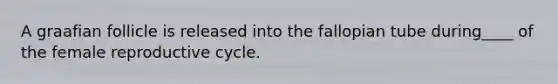 A graafian follicle is released into the fallopian tube during____ of the female reproductive cycle.