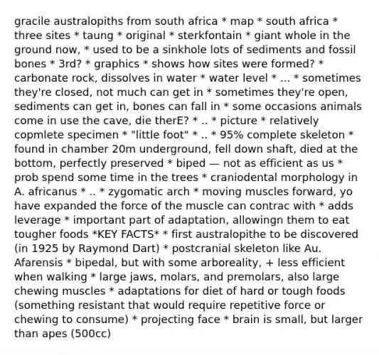 gracile australopiths from south africa * map * south africa * three sites * taung * original * sterkfontain * giant whole in the ground now, * used to be a sinkhole lots of sediments and fossil bones * 3rd? * graphics * shows how sites were formed? * carbonate rock, dissolves in water * water level * ... * sometimes they're closed, not much can get in * sometimes they're open, sediments can get in, bones can fall in * some occasions animals come in use the cave, die therE? * .. * picture * relatively copmlete specimen * "little foot" * .. * 95% complete skeleton * found in chamber 20m underground, fell down shaft, died at the bottom, perfectly preserved * biped — not as efficient as us * prob spend some time in the trees * craniodental morphology in A. africanus * .. * zygomatic arch * moving muscles forward, yo have expanded the force of the muscle can contrac with * adds leverage * important part of adaptation, allowingn them to eat tougher foods *KEY FACTS* * first australopithe to be discovered (in 1925 by Raymond Dart) * postcranial skeleton like Au. Afarensis * bipedal, but with some arboreality, + less efficient when walking * large jaws, molars, and premolars, also large chewing muscles * adaptations for diet of hard or tough foods (something resistant that would require repetitive force or chewing to consume) * projecting face * brain is small, but larger than apes (500cc)