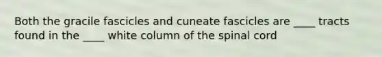 Both the gracile fascicles and cuneate fascicles are ____ tracts found in the ____ white column of the spinal cord