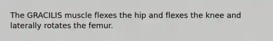 The GRACILIS muscle flexes the hip and flexes the knee and laterally rotates the femur.