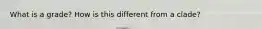 What is a grade? How is this different from a clade?