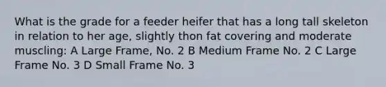 What is the grade for a feeder heifer that has a long tall skeleton in relation to her age, slightly thon fat covering and moderate muscling: A Large Frame, No. 2 B Medium Frame No. 2 C Large Frame No. 3 D Small Frame No. 3