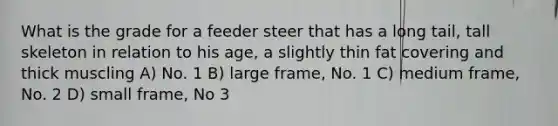 What is the grade for a feeder steer that has a long tail, tall skeleton in relation to his age, a slightly thin fat covering and thick muscling A) No. 1 B) large frame, No. 1 C) medium frame, No. 2 D) small frame, No 3