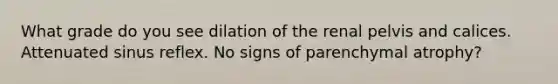 What grade do you see dilation of the renal pelvis and calices. Attenuated sinus reflex. No signs of parenchymal atrophy?