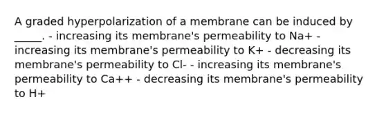 A graded hyperpolarization of a membrane can be induced by _____. - increasing its membrane's permeability to Na+ - increasing its membrane's permeability to K+ - decreasing its membrane's permeability to Cl- - increasing its membrane's permeability to Ca++ - decreasing its membrane's permeability to H+