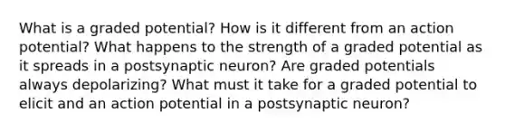 What is a graded potential? How is it different from an action potential? What happens to the strength of a graded potential as it spreads in a postsynaptic neuron? Are graded potentials always depolarizing? What must it take for a graded potential to elicit and an action potential in a postsynaptic neuron?