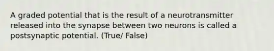 A graded potential that is the result of a neurotransmitter released into the synapse between two neurons is called a postsynaptic potential. (True/ False)