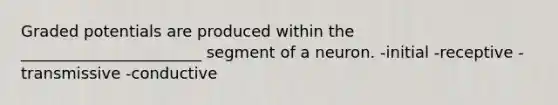 Graded potentials are produced within the _______________________ segment of a neuron. -initial -receptive -transmissive -conductive