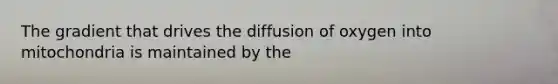 The gradient that drives the diffusion of oxygen into mitochondria is maintained by the