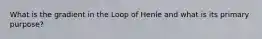 What is the gradient in the Loop of Henle and what is its primary purpose?