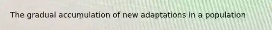 The gradual accumulation of new adaptations in a population