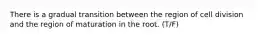 There is a gradual transition between the region of cell division and the region of maturation in the root. (T/F)