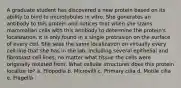 A graduate student has discovered a new protein based on its ability to bind to microtubules in vitro. She generates an antibody to this protein and notices that when she stains mammalian cells with this antibody to determine the protein's localization, it is only found in a single protrusion on the surface of every cell. She sees the same localization on virtually every cell line that she has in the lab, including several epithelial and fibroblast cell lines, no matter what tissue the cells were originally isolated from. What cellular structures does this protein localize to? a. Filopodia b. Microvilli c. Primary cilia d. Motile cilia e. Flagella