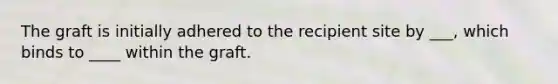 The graft is initially adhered to the recipient site by ___, which binds to ____ within the graft.