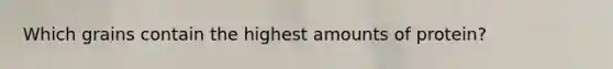 Which grains contain the highest amounts of protein?