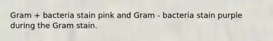 Gram + bacteria stain pink and Gram - bacteria stain purple during the Gram stain.