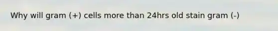 Why will gram (+) cells more than 24hrs old stain gram (-)