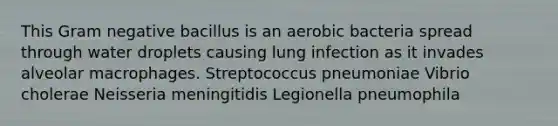 This Gram negative bacillus is an aerobic bacteria spread through water droplets causing lung infection as it invades alveolar macrophages. Streptococcus pneumoniae Vibrio cholerae Neisseria meningitidis Legionella pneumophila