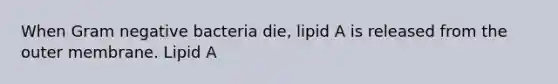 When Gram negative bacteria die, lipid A is released from the outer membrane. Lipid A