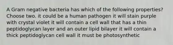 A Gram negative bacteria has which of the following properties? Choose two. it could be a human pathogen it will stain purple with crystal violet it will contain a cell wall that has a thin peptidoglycan layer and an outer lipid bilayer it will contain a thick peptidoglycan cell wall it must be photosynthetic