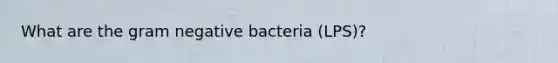 What are the gram negative bacteria (LPS)?