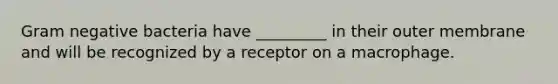 Gram negative bacteria have _________ in their outer membrane and will be recognized by a receptor on a macrophage.