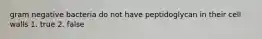 gram negative bacteria do not have peptidoglycan in their cell walls 1. true 2. false
